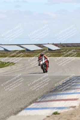 media/Mar-23-2025-TrackDaz (Sun) [[88a7749186]]/B Group/1220pm (Wheelie Bump)/